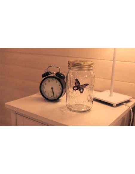 Butterfly jar