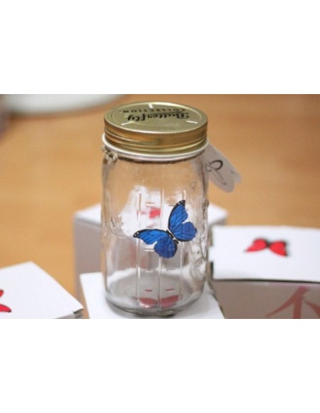 Butterfly jar
