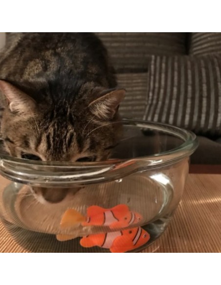 Swimmerfish for Felines