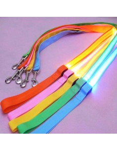 LED leash