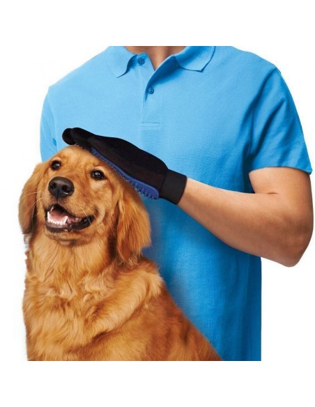 Glove catches hair dog cat